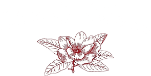 Carmen's Catering
