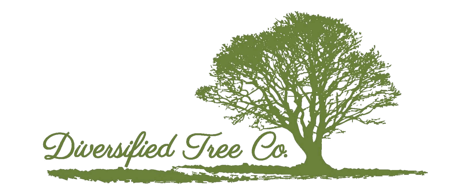 Green tree silhouette with company name.