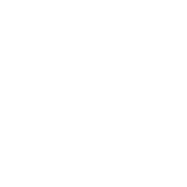 Price tags with dollar symbol icon.